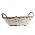 Floristik24 Decorative basket for planting, round planting basket, white H9.5cm, Ø29.5cm