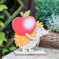 Floristik24 Autumn figure, hedgehog with apple and mushroom, wood decoration orange / red H24 / 23.5cm set of 2