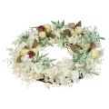 Floristik24 Door wreath eucalyptus eucalyptus wreath artificial bleached Ø50cm