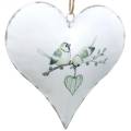 Floristik24 Decoration hanger heart with bird motif, heart decoration for Valentine&#39;s Day, metal pendant heart shape 4pcs