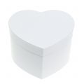 Floristik24 Heart box flower box white 14 / 16cm 2pcs