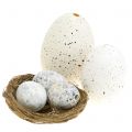 Floristik24 Egg assortment goose, chicken and quail 3.5cm – 8cm 12pcs