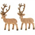 Floristik24 Deco deer decoration figure deco reindeer flocked H17cm 6pcs