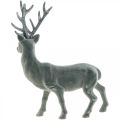 Floristik24 Decorative deer decorative figure decorative reindeer anthracite H40cm