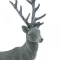 Floristik24 Decorative deer decorative figure decorative reindeer anthracite H40cm