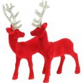 Floristik24 Deco deer decoration figure deco reindeer red H20cm 2pcs
