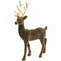 Floristik24 Decorative deer decorative figure decorative reindeer flocked brown H46cm