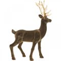 Floristik24 Decorative deer decorative figure decorative reindeer flocked brown H46cm