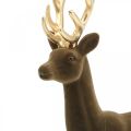 Floristik24 Deco deer decoration figure deco reindeer flocked brown H37cm