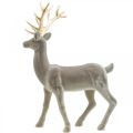 Floristik24 Decorative deer decorative figure decorative reindeer flocked gray H46cm