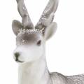 Deco deer flocked/snowed 39cm | Floristik24.ie