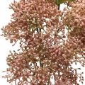 Floristik24 Elderberry artificial pink blossom branch 52cm 4pcs