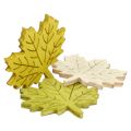 Floristik24 Maple leaves for sprinkling autumn colors assorted 4cm 72pcs