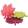 Floristik24 Maple leaf wood for scattering assorted colors 4cm 72pcs