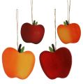 Floristik24 Crab apples to hang red-yellow 9cm - 13cm 12pcs