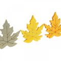 Floristik24 Scatter decoration autumn, maple leaves, autumn leaves golden, orange, yellow 4cm 72p