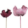 Floristik24 Wood Flower, Palm Cup Mix Pink-Heather 25pcs