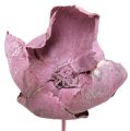 Floristik24 Wood Flower, Palm Cup Mix Pink-Heather 25pcs