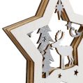 Floristik24 Wooden star with motif to hang 15cm 3pcs