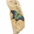 Floristik24 Pendant driftwood with butterfly 8-13cm 36pcs
