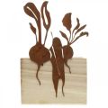 Floristik24 Plant box wood with rust decoration vegetable cachepot 17×17×12cm