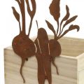 Floristik24 Plant box wood with rust decoration vegetable cachepot 17×17×12cm