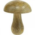 Floristik24 Wooden mushroom natural, yellow autumn deco wooden mushrooms 12×10cm