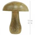 Floristik24 Wooden mushroom natural, yellow autumn deco wooden mushrooms 12×10cm