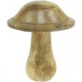 Floristik24 Wooden mushroom with grooves wooden decoration mushroom mango wood natural 11.5×Ø10cm