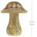 Floristik24 Wooden mushroom with grooves Autumn deco mushroom natural mango wood 10×Ø8cm