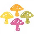 Floristik24 Scattered mushrooms, autumn decorations, lucky mushrooms to decorate orange, yellow, green, pink H3.5 / 4cm W4 / 3cm 72pcs