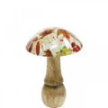 Floristik24 Wooden mushroom decoration autumn leaves white, colorful mushroom table decoration Ø10cm H15cm