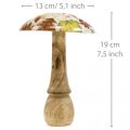 Wooden mushroom deco autumn leaves white, colorful autumn decoration Ø13cm H19cm | Floristik24.ie
