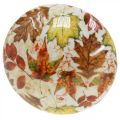 Floristik24 Wooden mushroom deco autumn leaves white, colorful autumn decoration Ø13cm H19cm