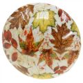 Wooden mushroom deco autumn leaves white, colorful autumn decoration Ø13cm H19cm | Floristik24.ie
