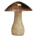 Floristik24 Wooden mushroom decoration natural brown gloss effect Ø10cm H12cm