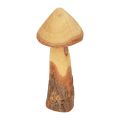 Floristik24 Wooden mushrooms decoration mushrooms wood decoration natural table decoration autumn Ø11cm H28cm