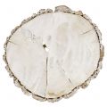 Floristik24 Wooden disc washed white 13cm - 15cm 2pcs