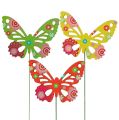 Floristik24 Wooden butterflies on the stick in assorted colors. 9cm