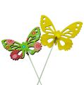 Floristik24 Wooden butterflies on the stick in assorted colors. 9cm