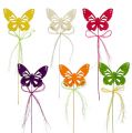 Floristik24 Wooden butterflies on a wire, assorted colors 8cm 24pcs