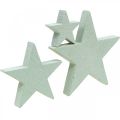 Floristik24 Wooden stars deco sprinkles Christmas Mint 3/5/7cm 29p