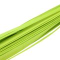 Floristik24 Wooden strips spring green 95cm - 100cm 50p