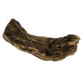 Floristik24 Wood root nature 6cm-13cm 500g