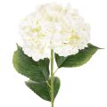 Floristik24 Artificial Hydrangea Long-Stemmed Artificial Flower 60cm