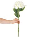 Artificial Hydrangea Long-Stemmed Artificial Flower 60cm | Floristik24.ie