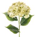 Floristik24 Artificial hydrangea flower with long stem and leaves, 60cm
