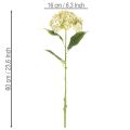 Artificial hydrangea flower with long stem and leaves, 60cm | Floristik24.ie