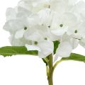 Floristik24 Decorative hydrangea white 36cm