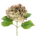 Floristik24 Artificial hydrangea decorative flower with stem, 46cm